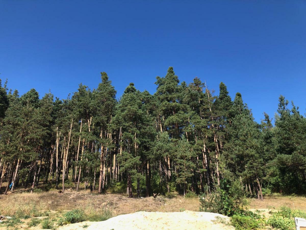 Borov Park 3 Appartement Velingrad Buitenkant foto