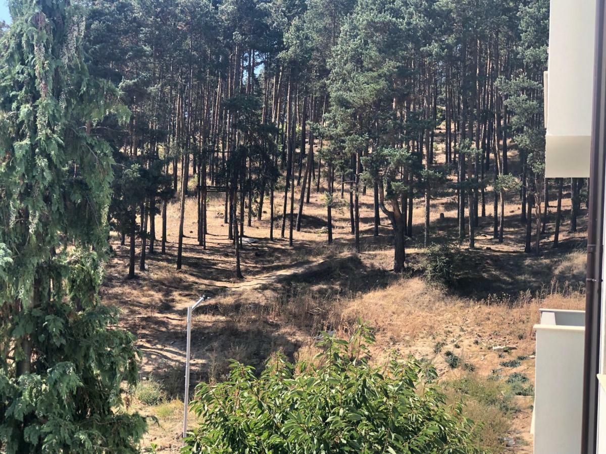 Borov Park 3 Appartement Velingrad Buitenkant foto